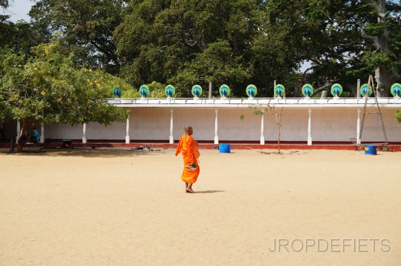 2014-sri-lanka-059.jpg - Kataragama