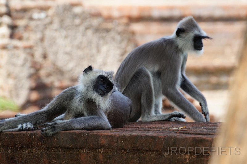 2014-sri-lanka-154.jpg - Polonnaruwa