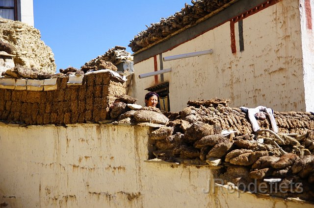 DSC03491.JPG - Shegar, yakpoep is brandstof voor de kachel