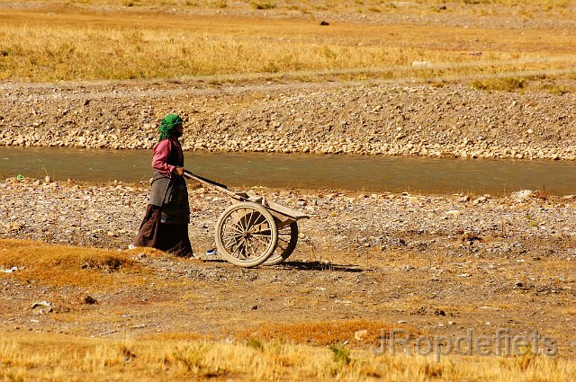 DSC03608.JPG - Mingpo, spullen verzamelen met de kruiwagen