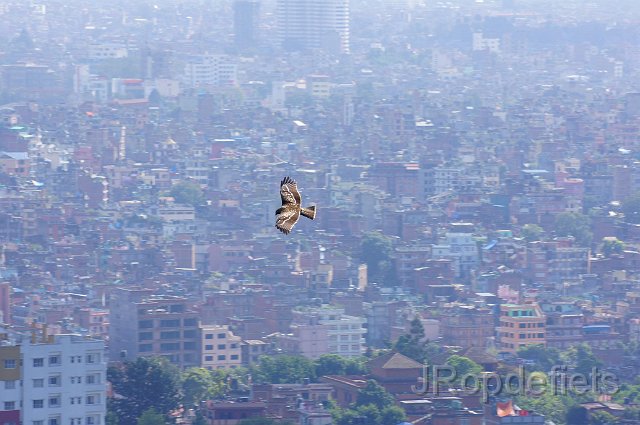 DSC03847.JPG - Kathmandu, Swayambhunath (apentempel)