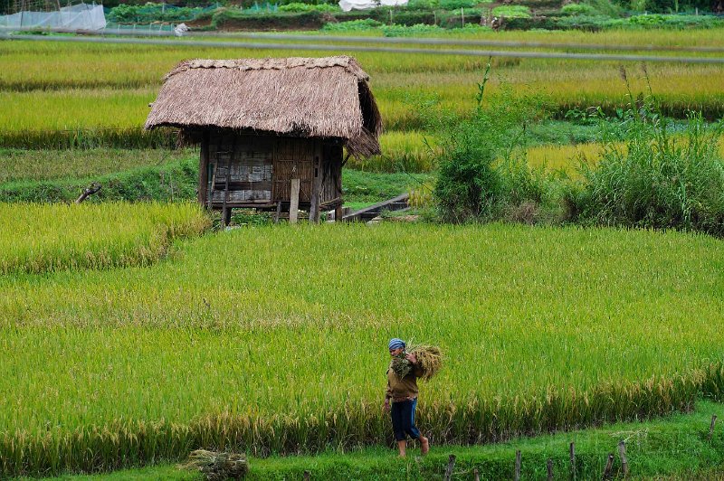 vietnam2018-021.jpg - Mai Chau