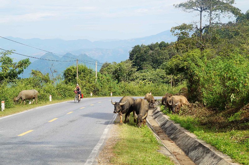vietnam2018-056.jpg - Net buiten Lai Chau