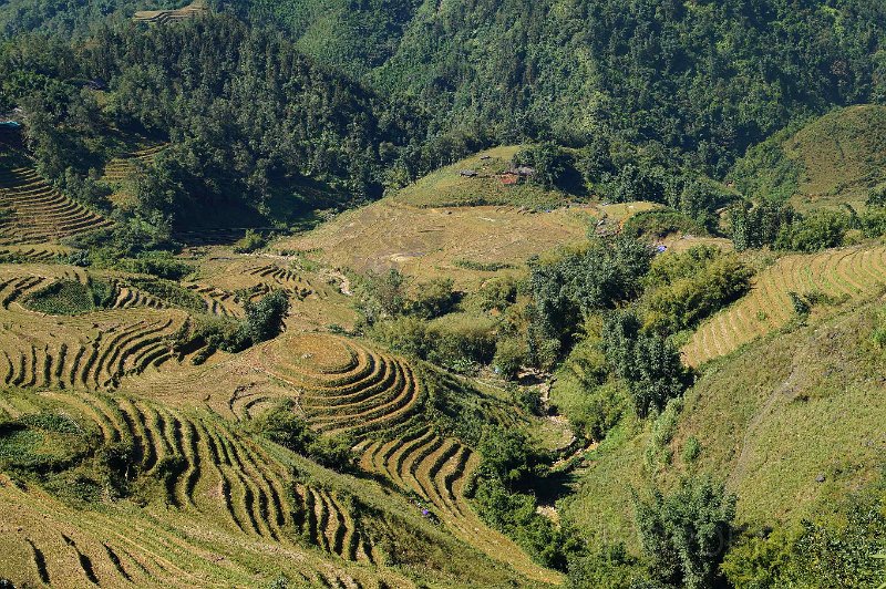 vietnam2018-065.jpg - Rondom Sapa