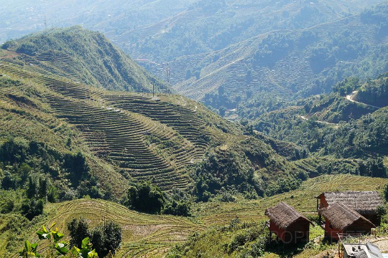 vietnam2018-066.jpg - Rondom Sapa
