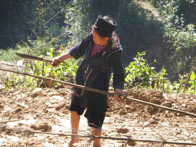 vietnam2018-067.jpg - Rondom Sapa