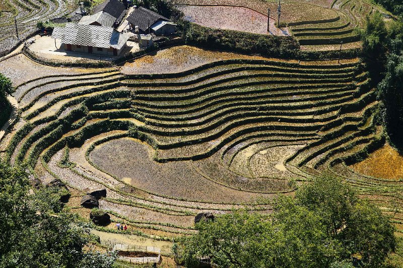 vietnam2018-069.jpg - Rondom Sapa