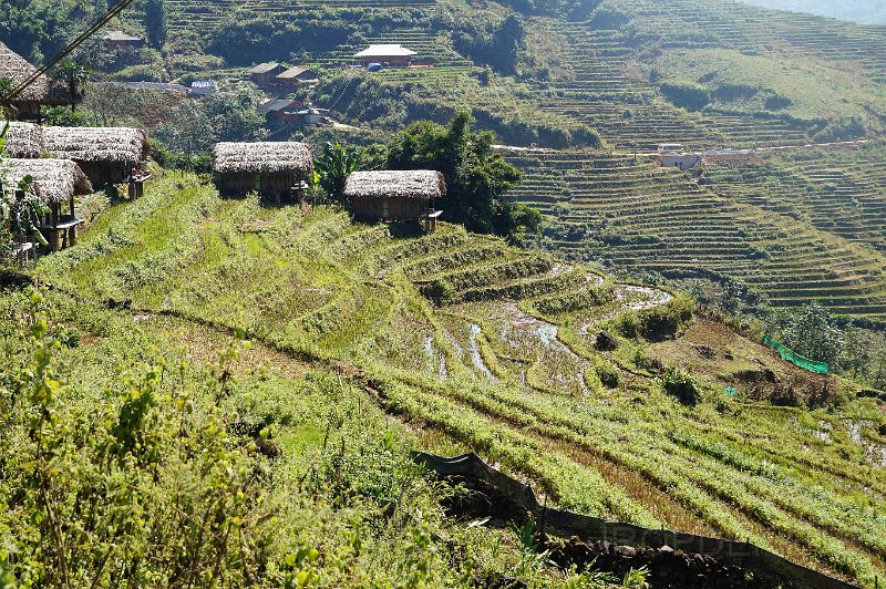 vietnam2018-074.jpg - Rondom Sapa