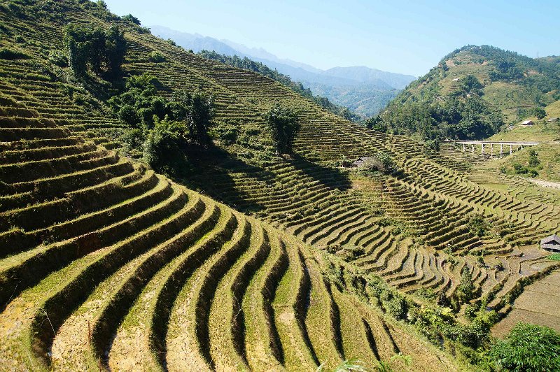 vietnam2018-076.jpg - Rondom Sapa