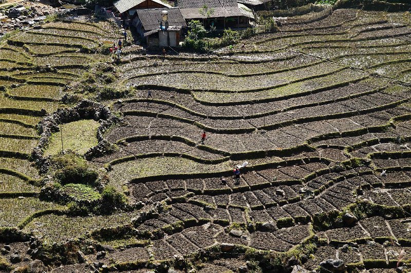 vietnam2018-078.jpg - Rondom Sapa