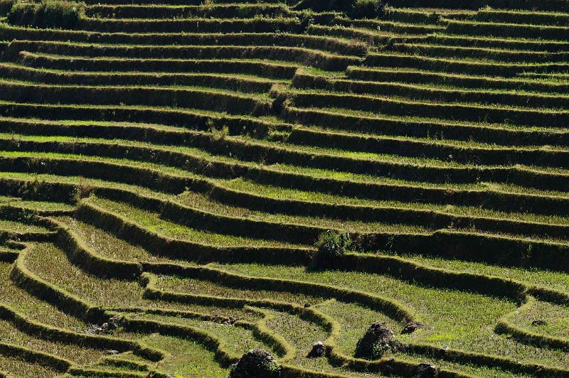 vietnam2018-079.jpg - Rondom Sapa