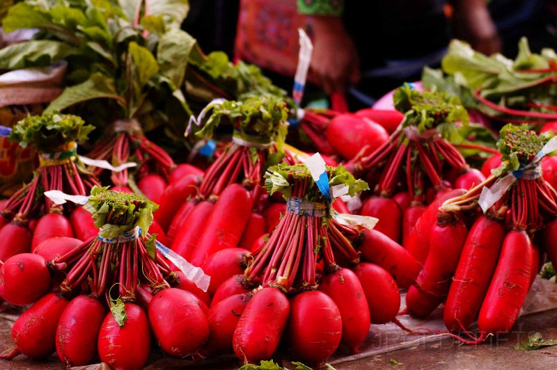 vietnam2018-101.jpg - In Sapa