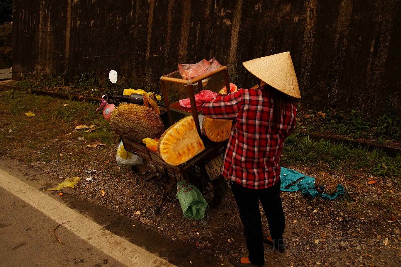 vietnam2018-117.jpg - Net buiten Lao Cai: Jack fruit