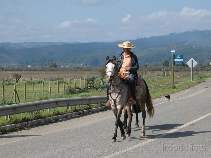 IMG_1102.JPG - Gaucho