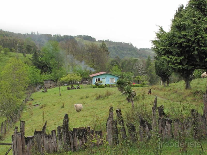 IMG_1262.JPG - Conaripe