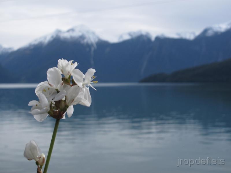 IMG_1407.JPG - Lago Yelcho