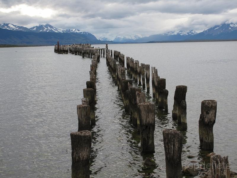 IMG_2003.JPG - Puerto Natales