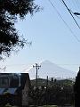 IMG_1239