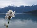 IMG_1407