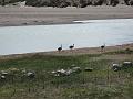 IMG_1791