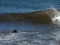 IMG_2028_pinguin