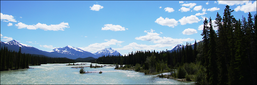 Ice Field Park Way